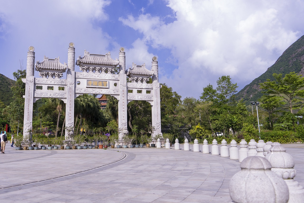 平顶山文化艺术职业学院，专业选择与未来展望